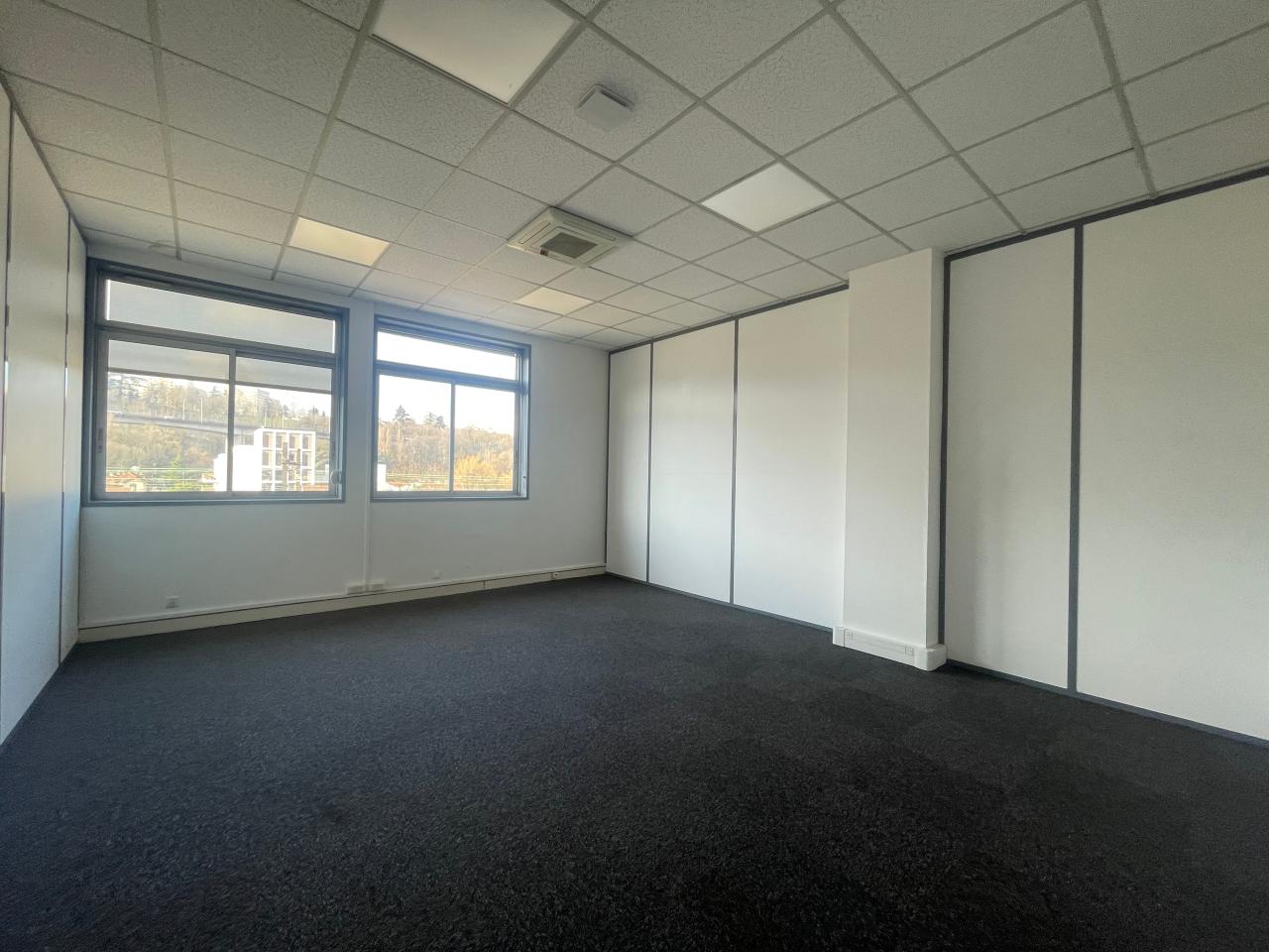 Bureau Lyon 235m² Vente bureau Lyon Rhône OVBUR2530030 7